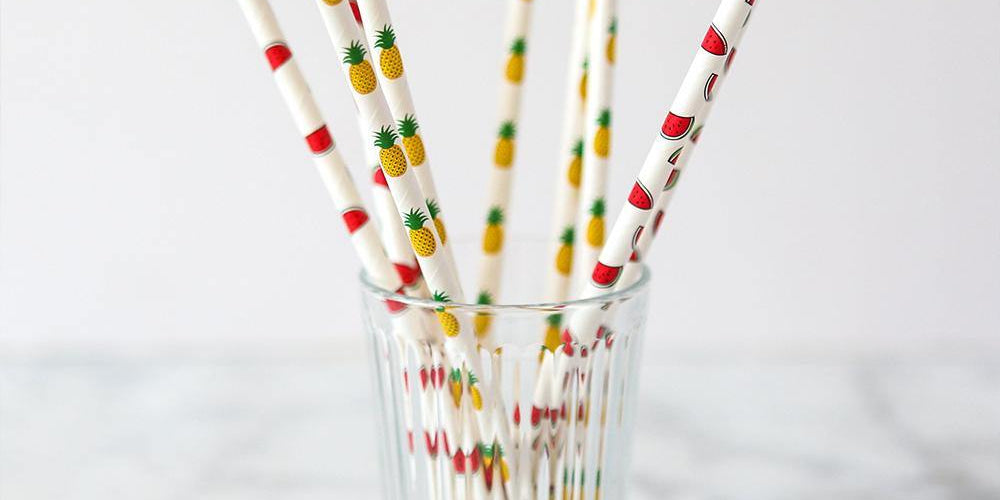 ECO's alternatives to plastic straws