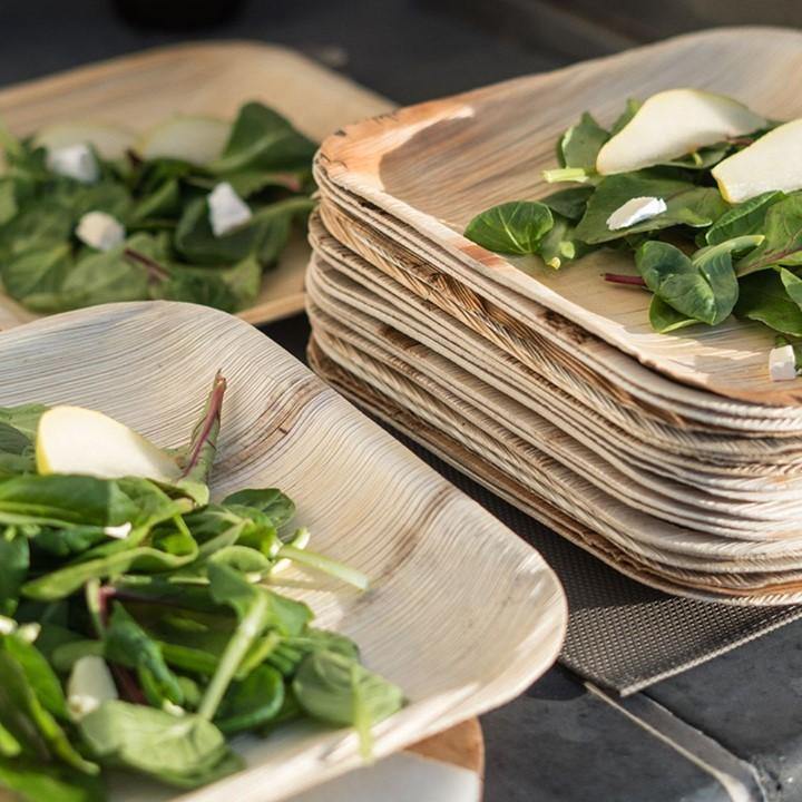 ECO's Areca Palm Leaf Plates - Ecolifestyle.shop
