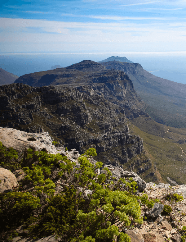 Cape Town's Best-Voted Hiking Trails