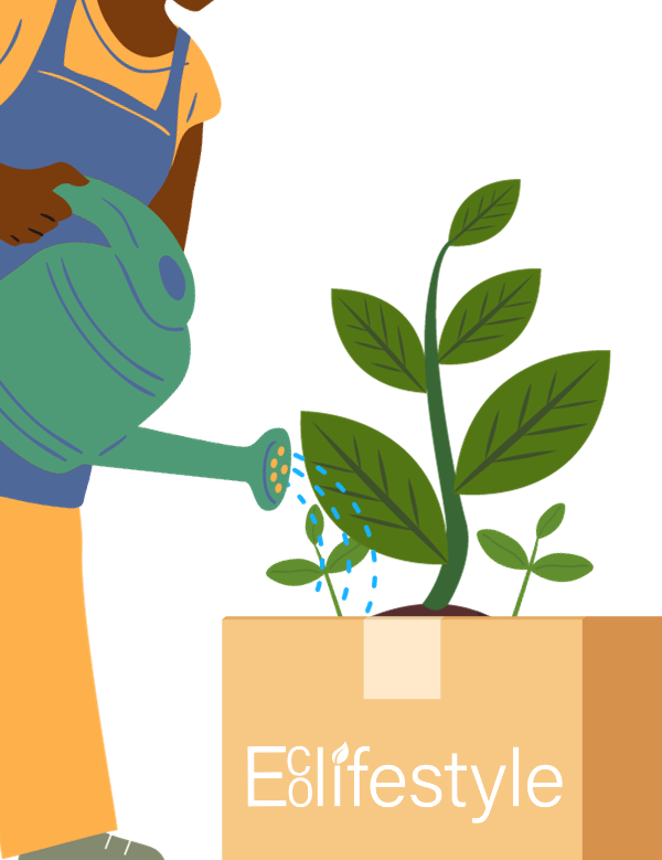 How to reuse our boxes